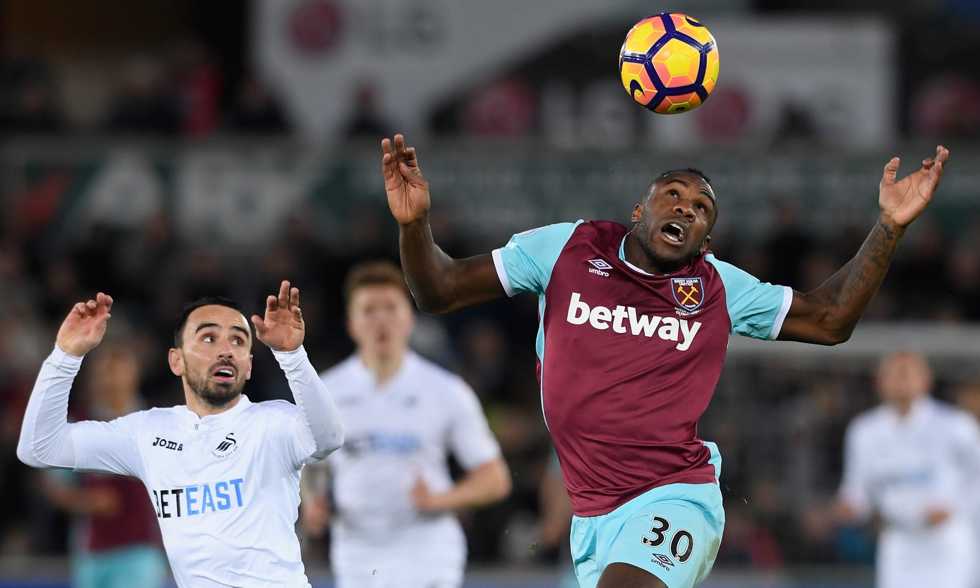 包括专业组 包括专业组